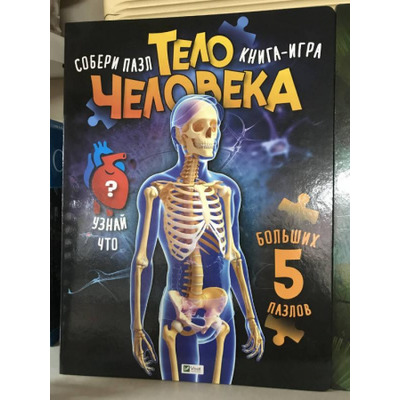 Тело человека Зображення