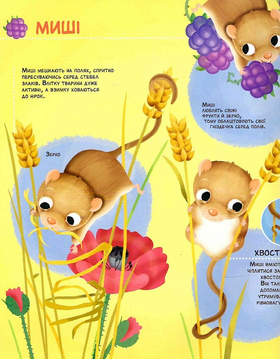 Як живуть крихітні створіння Зображення
