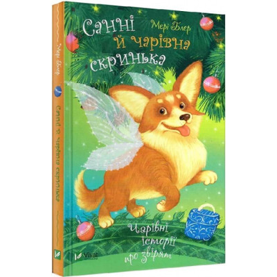 Санні й чарівна скринька Зображення