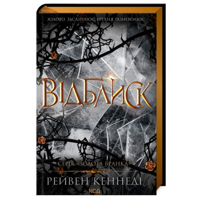Відблиск. Книга 2 Зображення