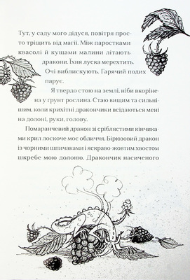 Хлопчик, який співав з драконами Зображення