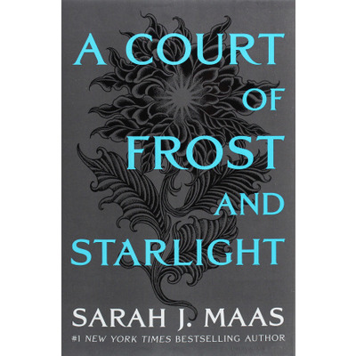 A Court of Frost and Starlight Зображення