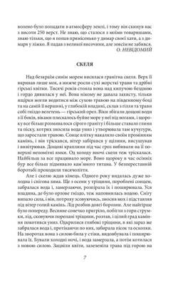 Підзамча. Поезія, проза, листи Зображення