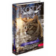 Коти - вояки. Знамення Зореклану. Книга 3. Нічні голоси Зображення