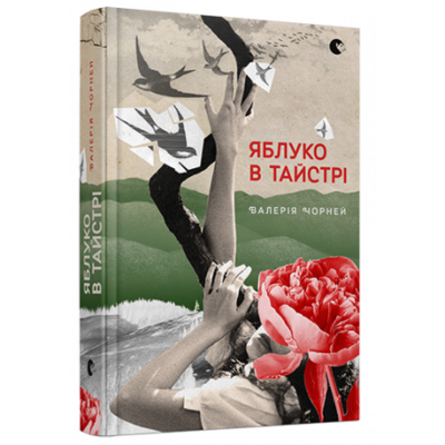 Яблуко в тайстрі Зображення