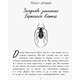 Битва жуків. Хлопчик-жук Зображення
