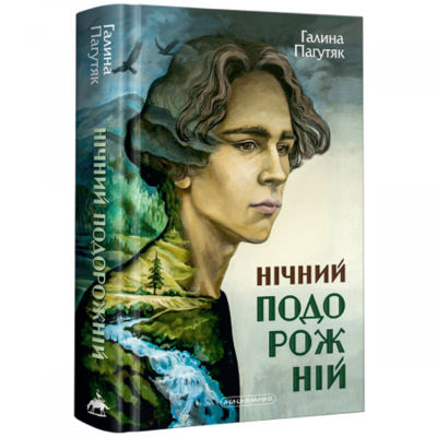 Нічний подорожній Зображення