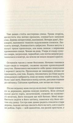 Квіти цикорію Зображення