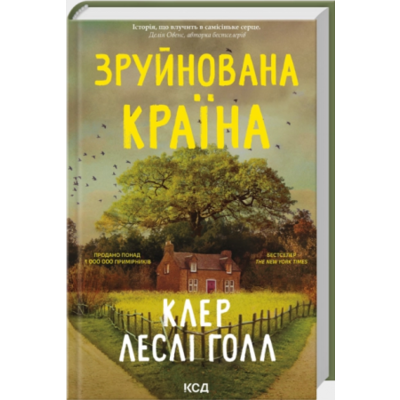 Зруйнована країна Зображення