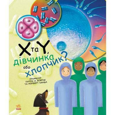 Генетика для дітей. X та Y, дівчинка або хлопчик? Зображення