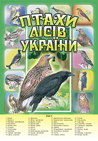Птахи лісів України.Комплект наочності. Зображення