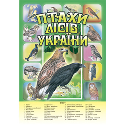 Птахи лісів України.Комплект наочності. Зображення