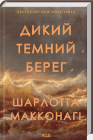 Дикий темний берег Зображення